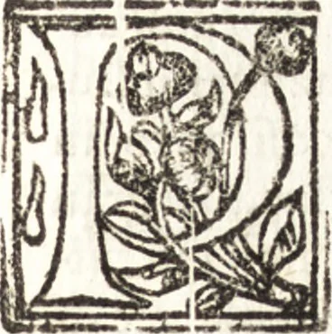 An illustration from Della forma delle mvse : cavata da gli antichi avtori greci et latini : opera vtilissima à pittori & scoltori, 1591, leaf 64