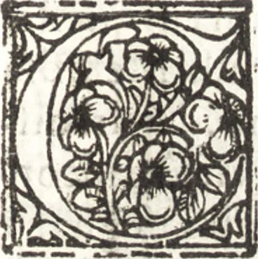 An illustration from Della forma delle mvse : cavata da gli antichi avtori greci et latini : opera vtilissima à pittori & scoltori, 1591, leaf 752