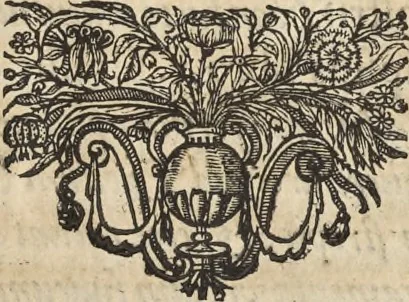 An illustration from De militia equestri antiqua et noua ad regem Philippum IV libri quinque, 1630, leaf 76