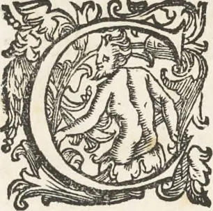 An illustration from De sacris aedificiis a Constantino Magno constructis : synopsis historica, 1693, leaf 14