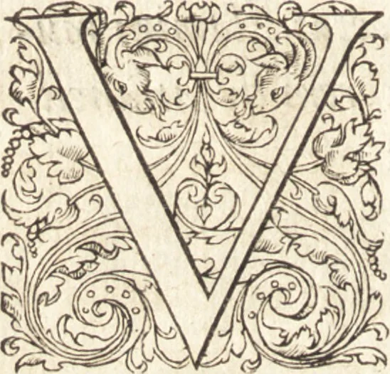 An illustration from De sacris ecclesiae ministeriis ac beneficiis libri VIII : in quibus quicquid ad plenam iuris pontificij cognitionem necessarium est, breuiter ac dilucidè explicatum continetur : item, Pro libertate ecclesiae Gallicae aduersus Romanã aulam defensio Parisiensis curiae, Ludouico XI. Gallorũ regi quondam oblata, 1551, leaf 107