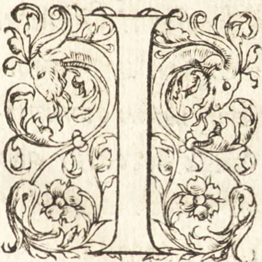 An illustration from De sacris ecclesiae ministeriis ac beneficiis libri VIII : in quibus quicquid ad plenam iuris pontificij cognitionem necessarium est, breuiter ac dilucidè explicatum continetur : item, Pro libertate ecclesiae Gallicae aduersus Romanã aulam defensio Parisiensis curiae, Ludouico XI. Gallorũ regi quondam oblata, 1551, leaf 156