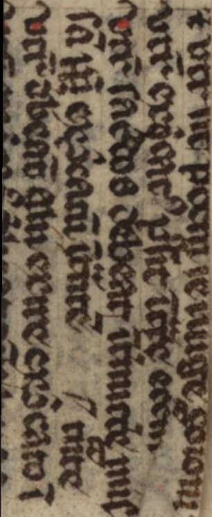 An illustration from De sacris ecclesiae ministeriis ac beneficiis libri VIII : in quibus quicquid ad plenam iuris pontificij cognitionem necessarium est, breuiter ac dilucidè explicatum continetur : item, Pro libertate ecclesiae Gallicae aduersus Romanã aulam defensio Parisiensis curiae, Ludouico XI. Gallorũ regi quondam oblata, 1551, leaf 2