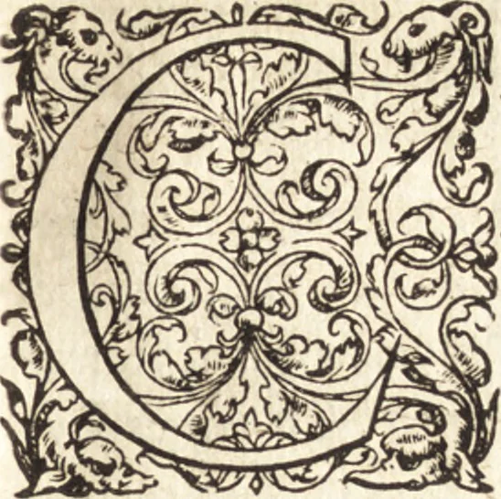 An illustration from De sacris ecclesiae ministeriis ac beneficiis libri VIII : in quibus quicquid ad plenam iuris pontificij cognitionem necessarium est, breuiter ac dilucidè explicatum continetur : item, Pro libertate ecclesiae Gallicae aduersus Romanã aulam defensio Parisiensis curiae, Ludouico XI. Gallorũ regi quondam oblata, 1551, leaf 22