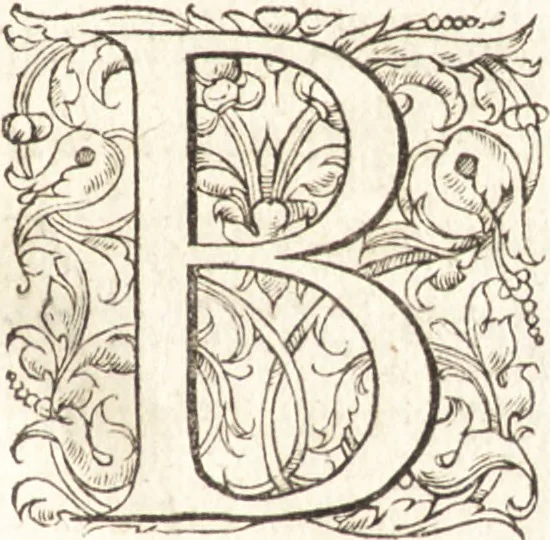 An illustration from De sacris ecclesiae ministeriis ac beneficiis libri VIII : in quibus quicquid ad plenam iuris pontificij cognitionem necessarium est, breuiter ac dilucidè explicatum continetur : item, Pro libertate ecclesiae Gallicae aduersus Romanã aulam defensio Parisiensis curiae, Ludouico XI. Gallorũ regi quondam oblata, 1551, leaf 248