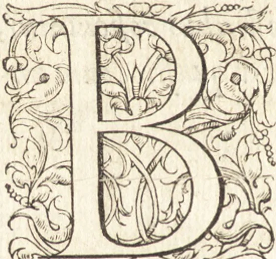 An illustration from De sacris ecclesiae ministeriis ac beneficiis libri VIII : in quibus quicquid ad plenam iuris pontificij cognitionem necessarium est, breuiter ac dilucidè explicatum continetur : item, Pro libertate ecclesiae Gallicae aduersus Romanã aulam defensio Parisiensis curiae, Ludouico XI. Gallorũ regi quondam oblata, 1551, leaf 265
