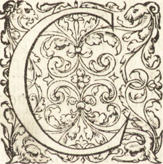 An illustration from De sacris ecclesiae ministeriis ac beneficiis libri VIII : in quibus quicquid ad plenam iuris pontificij cognitionem necessarium est, breuiter ac dilucidè explicatum continetur : item, Pro libertate ecclesiae Gallicae aduersus Romanã aulam defensio Parisiensis curiae, Ludouico XI. Gallorũ regi quondam oblata, 1551, leaf 298