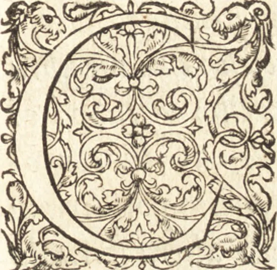 An illustration from De sacris ecclesiae ministeriis ac beneficiis libri VIII : in quibus quicquid ad plenam iuris pontificij cognitionem necessarium est, breuiter ac dilucidè explicatum continetur : item, Pro libertate ecclesiae Gallicae aduersus Romanã aulam defensio Parisiensis curiae, Ludouico XI. Gallorũ regi quondam oblata, 1551, leaf 30