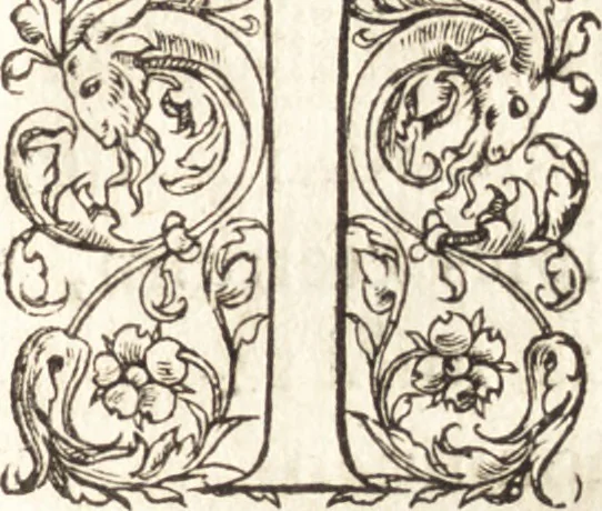 An illustration from De sacris ecclesiae ministeriis ac beneficiis libri VIII : in quibus quicquid ad plenam iuris pontificij cognitionem necessarium est, breuiter ac dilucidè explicatum continetur : item, Pro libertate ecclesiae Gallicae aduersus Romanã aulam defensio Parisiensis curiae, Ludouico XI. Gallorũ regi quondam oblata, 1551, leaf 314