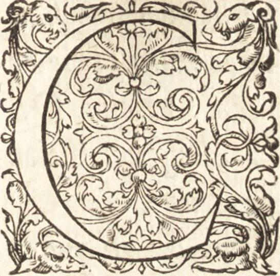 An illustration from De sacris ecclesiae ministeriis ac beneficiis libri VIII : in quibus quicquid ad plenam iuris pontificij cognitionem necessarium est, breuiter ac dilucidè explicatum continetur : item, Pro libertate ecclesiae Gallicae aduersus Romanã aulam defensio Parisiensis curiae, Ludouico XI. Gallorũ regi quondam oblata, 1551, leaf 316