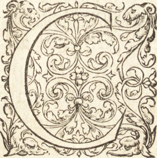 An illustration from De sacris ecclesiae ministeriis ac beneficiis libri VIII : in quibus quicquid ad plenam iuris pontificij cognitionem necessarium est, breuiter ac dilucidè explicatum continetur : item, Pro libertate ecclesiae Gallicae aduersus Romanã aulam defensio Parisiensis curiae, Ludouico XI. Gallorũ regi quondam oblata, 1551, leaf 8