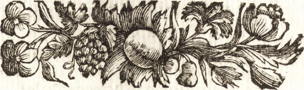An illustration from Description des pierres gravées du feu Baron de Stosch : dediée a son eminence Monseigneur le cardinal Aléxandre Albani, 1760, leaf 619