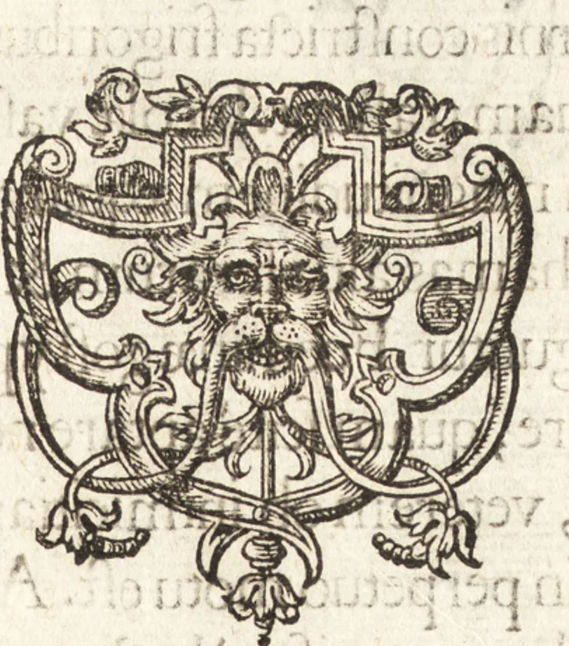 An illustration from Descriptionis Ptolemaicae augmentum, siue, Occidentis notitia : breui commentario illustrata, et hac secunda editione magna sui parte aucta, 1603, leaf 124