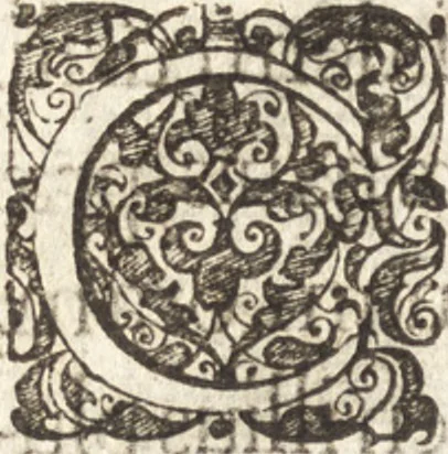 An illustration from Descriptionis Ptolemaicae augmentum, siue, Occidentis notitia : breui commentario illustrata, et hac secunda editione magna sui parte aucta, 1603, leaf 125