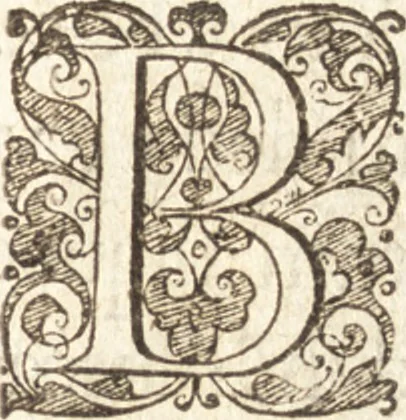 An illustration from Descriptionis Ptolemaicae augmentum, siue, Occidentis notitia : breui commentario illustrata, et hac secunda editione magna sui parte aucta, 1603, leaf 132
