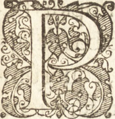 An illustration from Descriptionis Ptolemaicae augmentum, siue, Occidentis notitia : breui commentario illustrata, et hac secunda editione magna sui parte aucta, 1603, leaf 138