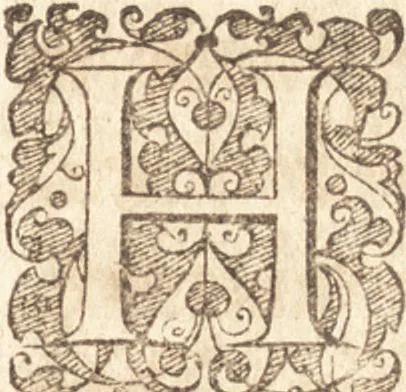 An illustration from Descriptionis Ptolemaicae augmentum, siue, Occidentis notitia : breui commentario illustrata, et hac secunda editione magna sui parte aucta, 1603, leaf 156