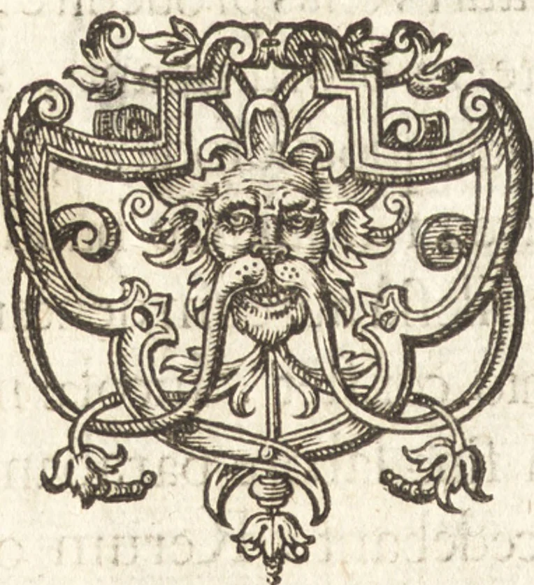 An illustration from Descriptionis Ptolemaicae augmentum, siue, Occidentis notitia : breui commentario illustrata, et hac secunda editione magna sui parte aucta, 1603, leaf 161