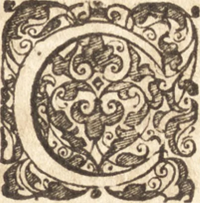 An illustration from Descriptionis Ptolemaicae augmentum, siue, Occidentis notitia : breui commentario illustrata, et hac secunda editione magna sui parte aucta, 1603, leaf 162