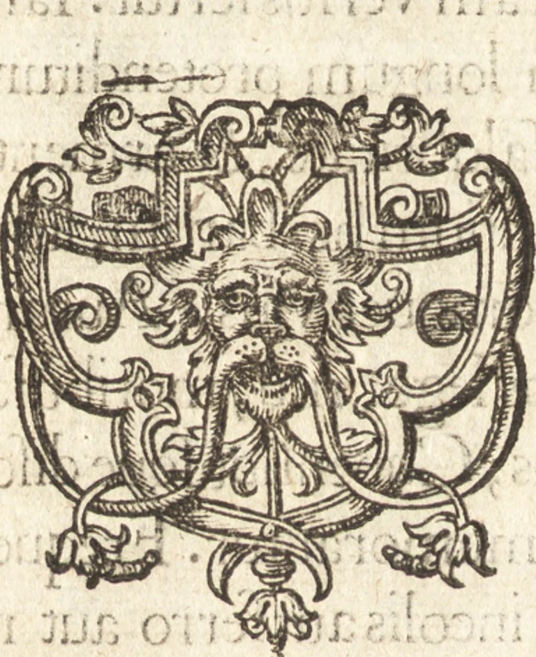 An illustration from Descriptionis Ptolemaicae augmentum, siue, Occidentis notitia : breui commentario illustrata, et hac secunda editione magna sui parte aucta, 1603, leaf 165