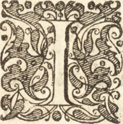 An illustration from Descriptionis Ptolemaicae augmentum, siue, Occidentis notitia : breui commentario illustrata, et hac secunda editione magna sui parte aucta, 1603, leaf 166