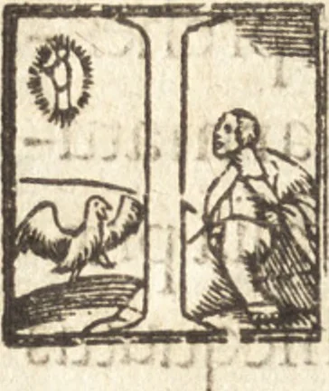 An illustration from Descriptionis Ptolemaicae augmentum, siue, Occidentis notitia : breui commentario illustrata, et hac secunda editione magna sui parte aucta, 1603, leaf 169