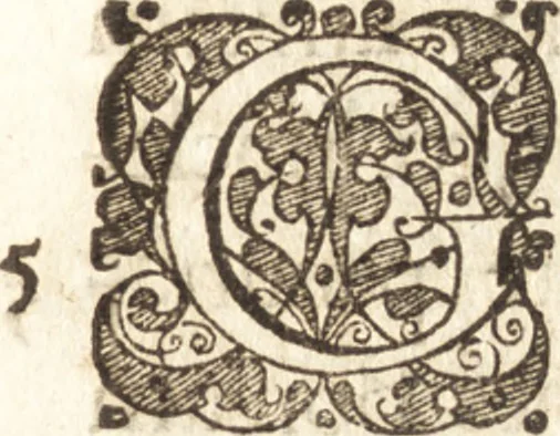 An illustration from Descriptionis Ptolemaicae augmentum, siue, Occidentis notitia : breui commentario illustrata, et hac secunda editione magna sui parte aucta, 1603, leaf 180