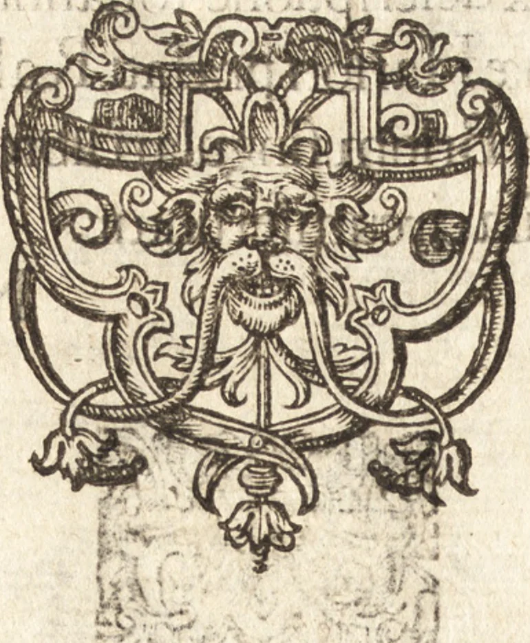 An illustration from Descriptionis Ptolemaicae augmentum, siue, Occidentis notitia : breui commentario illustrata, et hac secunda editione magna sui parte aucta, 1603, leaf 195