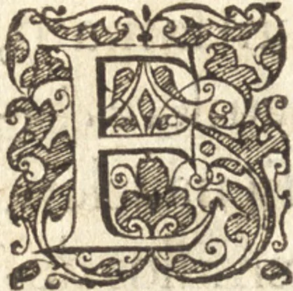 An illustration from Descriptionis Ptolemaicae augmentum, siue, Occidentis notitia : breui commentario illustrata, et hac secunda editione magna sui parte aucta, 1603, leaf 199