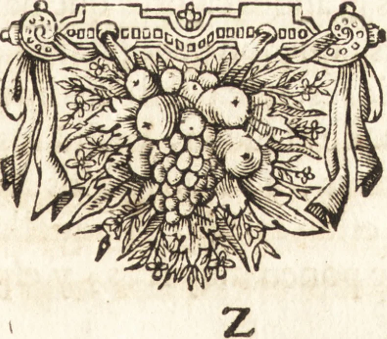 An illustration from El devoto peregrino y viage de Tierra Santa, 1664, leaf 206