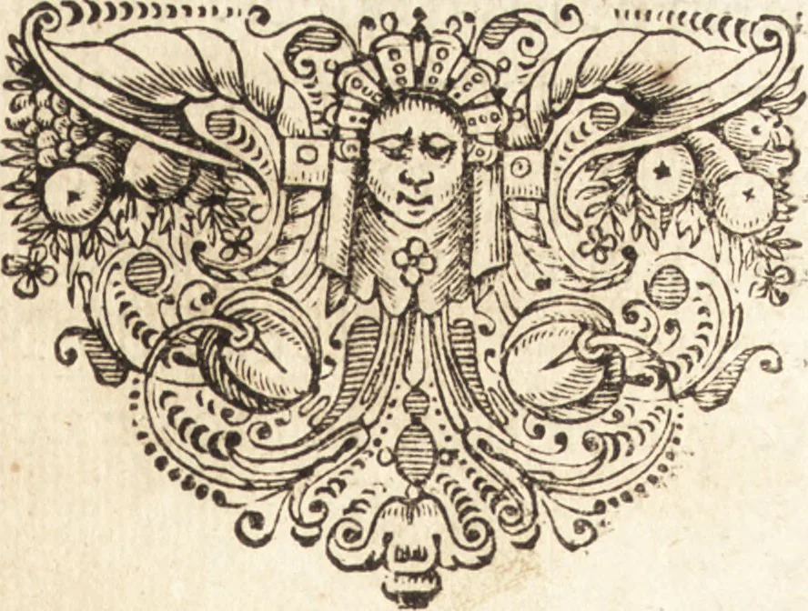 An illustration from El devoto peregrino y viage de Tierra Santa, 1664, leaf 238