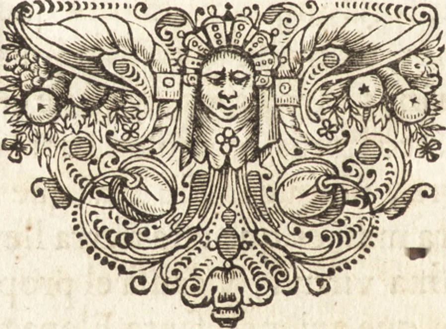 An illustration from El devoto peregrino y viage de Tierra Santa, 1664, leaf 277