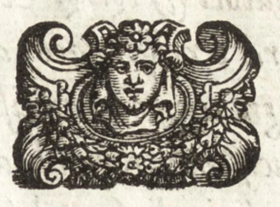 An illustration from Dialogo della pittvra, 1557, leaf 6