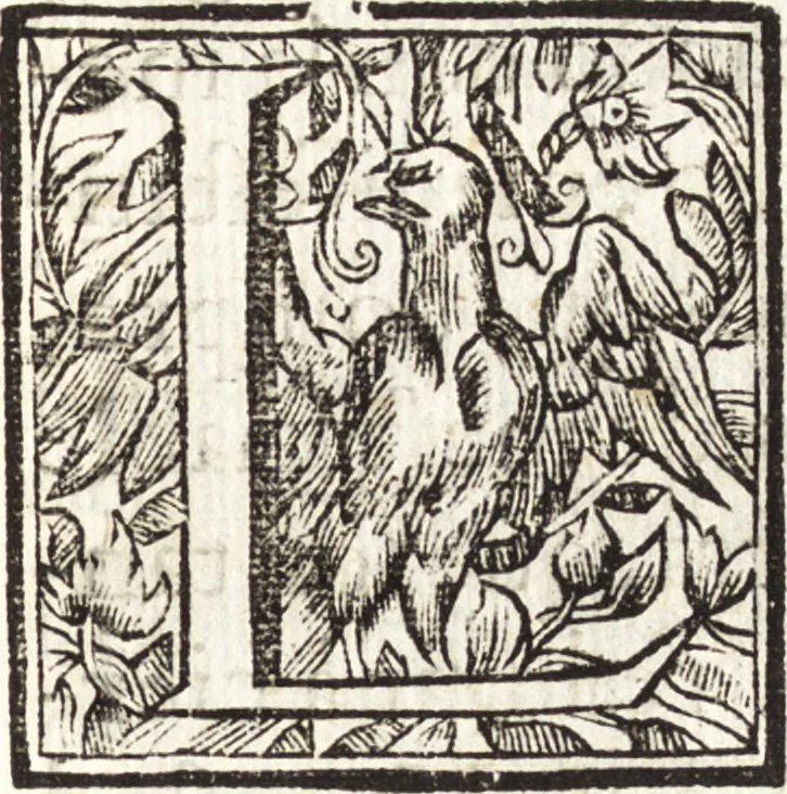 An illustration from Dialogos de la pintvra : sv defensa, origen, esse[n]cia, definicion, modos y diferencias, 1633, leaf 12