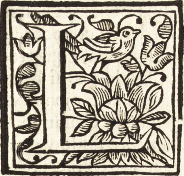 An illustration from Dialogos de la pintvra : sv defensa, origen, esse[n]cia, definicion, modos y diferencias, 1633, leaf 24