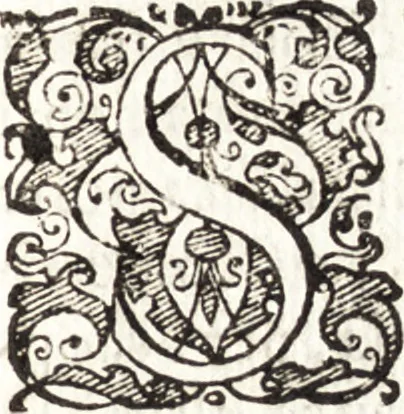 An illustration from Discorsi del signor Torqvto Tasso dell'arte poetica, et in particolare del poema heroico : et insieme il primo libro delle lettere scritte à diuersi suoi amici : lequali, oltra la famigliarità, sono ripiene di molti concetti & auertimenti poetici à dichiaratione d'alcuni luoghi della sua Gierusalemme liberata : gli vni e l'altre scritte nel tempo, ch'egli compose detto suo poema : non piu stampati, 1587, leaf 30