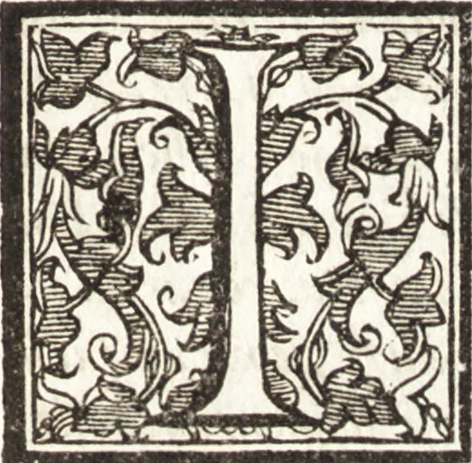 An illustration from Discorsi del signor Torqvto Tasso dell'arte poetica, et in particolare del poema heroico : et insieme il primo libro delle lettere scritte à diuersi suoi amici : lequali, oltra la famigliarità, sono ripiene di molti concetti & auertimenti poetici à dichiaratione d'alcuni luoghi della sua Gierusalemme liberata : gli vni e l'altre scritte nel tempo, ch'egli compose detto suo poema : non piu stampati, 1587, leaf 78