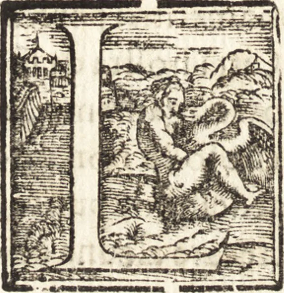 An illustration from Discorsi di monsignore don Vincenzio Borghini. Recati à luce da'deputati per suo testamento. Con la tavola delle cose piv notabili, 1584, leaf 319
