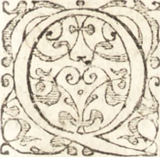 An illustration from Dominus de Monzambano Illustratus & restrictus, sive, Severini de Monzambano Veronensis De statu Imperii Germanici : liber unus, discursibus iuridico-politicis explicatus & restrictus : in quibus elegantissimae iuris publici Romano-Germanici materiae v. g. de finibus ac limitibus Germaniae antiquis & hodiernis : de Germanorum Imperio Romano ... deducuntur, 1668, leaf 190