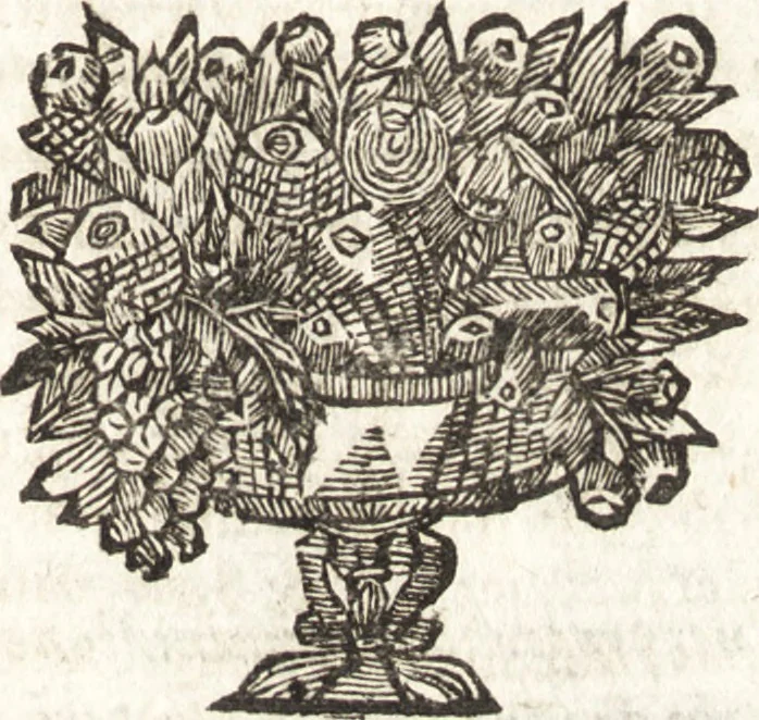 An illustration from Dominus de Monzambano Illustratus & restrictus, sive, Severini de Monzambano Veronensis De statu Imperii Germanici : liber unus, discursibus iuridico-politicis explicatus & restrictus : in quibus elegantissimae iuris publici Romano-Germanici materiae v. g. de finibus ac limitibus Germaniae antiquis & hodiernis : de Germanorum Imperio Romano ... deducuntur, 1668, leaf 600