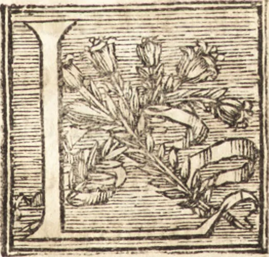An illustration from Entretiens sur les vies et sur les ouvrages des plus excellens peintres anciens et modernes, 1666, leaf 230
