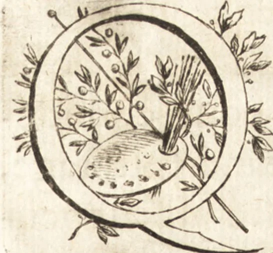 An illustration from Entretiens sur les vies et sur les ouvrages des plus excellens peintres anciens et modernes, 1666, leaf 6
