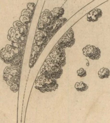 An illustration from Etude sur l'architecture des jardins, 1875, leaf 116