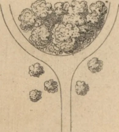 An illustration from Etude sur l'architecture des jardins, 1875, leaf 116