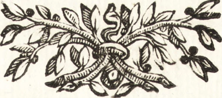 An illustration from Felsina pittrice : vite de pittori bolognesi, 1678, leaf 10