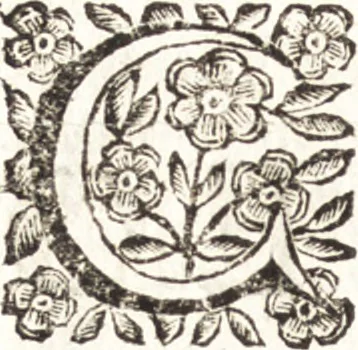 An illustration from Felsina pittrice : vite de pittori bolognesi, 1678, leaf 157
