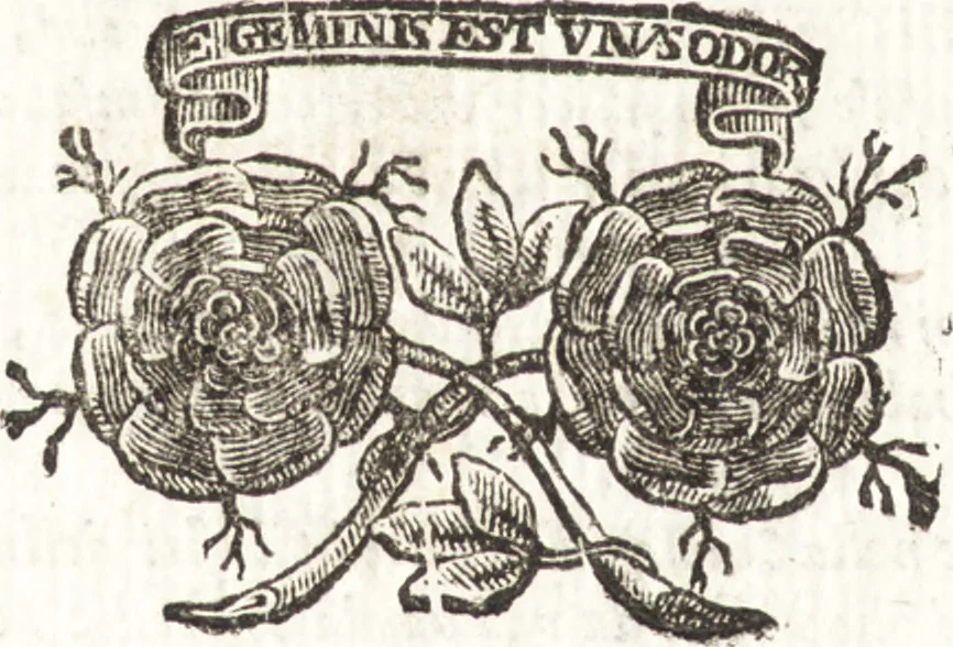 An illustration from Felsina pittrice : vite de pittori bolognesi, 1678, leaf 247