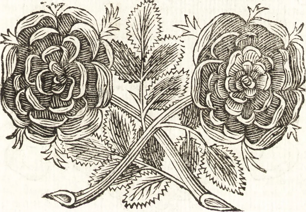 An illustration from Felsina pittrice : vite de pittori bolognesi, 1678, leaf 318