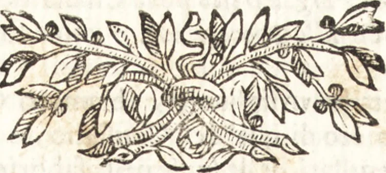 An illustration from Felsina pittrice : vite de pittori bolognesi, 1678, leaf 359