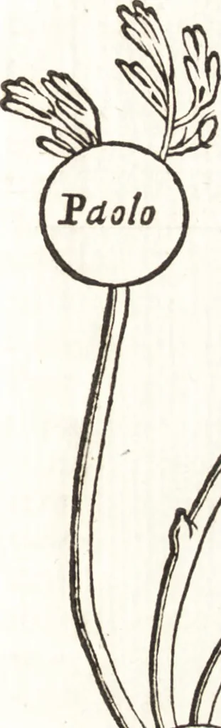 An illustration from Felsina pittrice : vite de pittori bolognesi, 1678, leaf 480